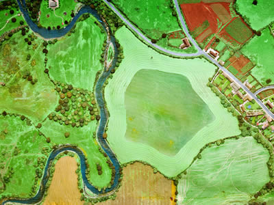 Agricultural Solutions