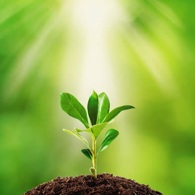 Environmental Activities