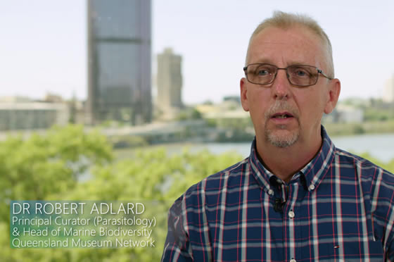 Dr Robert Adlard, Head of Marine Biodiversity